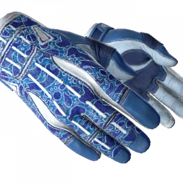 ★ Sport Gloves | Amphibious (Minimal Wear)