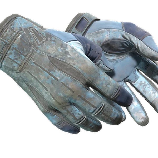 ★ Sport Gloves | Frosty (Battle-Scarred)