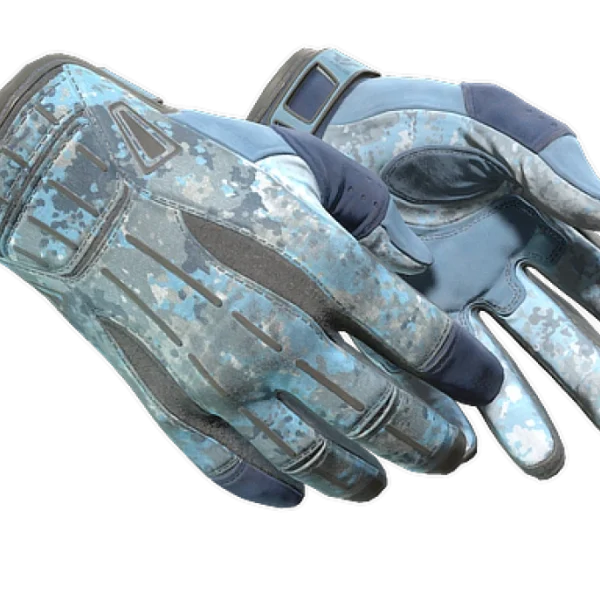★ Sport Gloves | Frosty (Field-Tested)